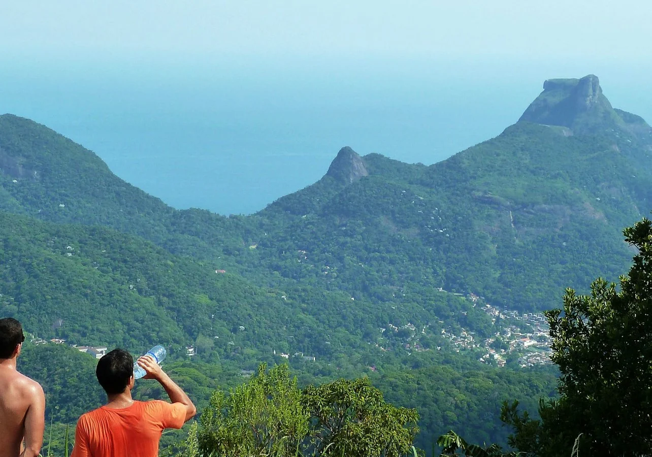 Tijuca Peak: Guided Hiking Tour + Hotel Transfer