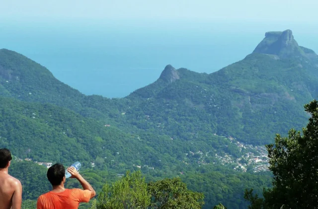 Tijuca Peak: Guided Hiking Tour + Hotel Transfer