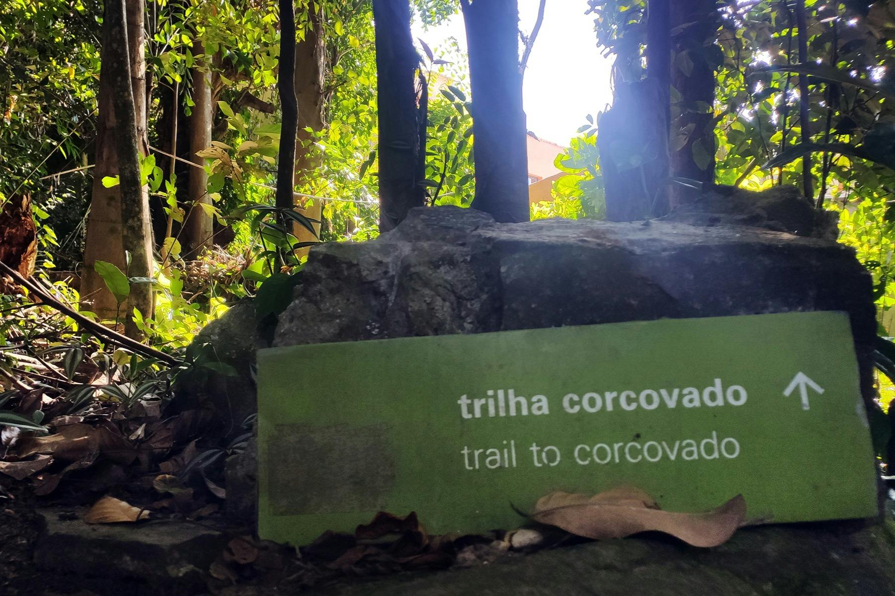 Christ the Redeemer: Guided Hiking Tour from Parque Lage + Transfer