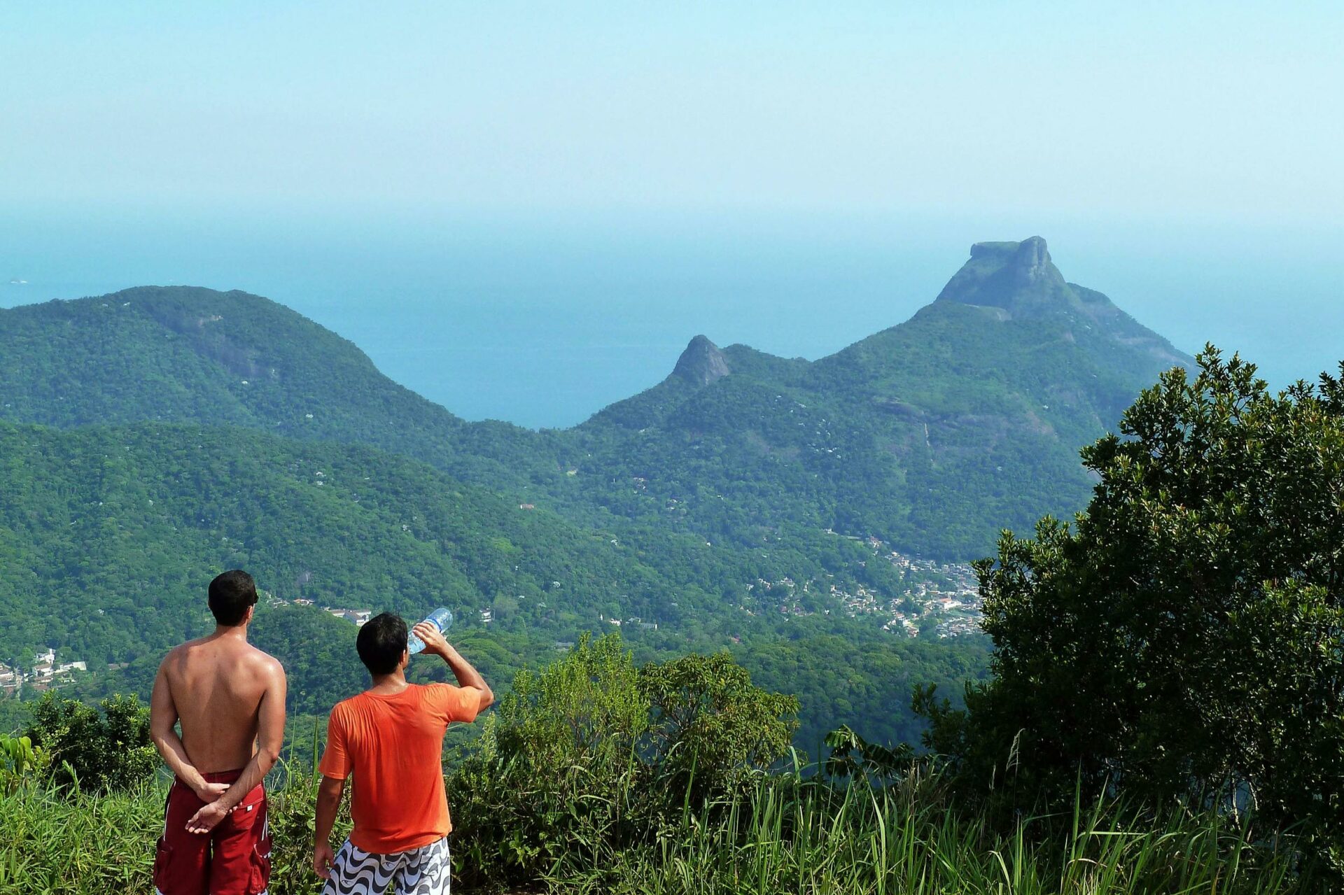Tijuca Peak: Guided Hiking Tour + Hotel Transfer