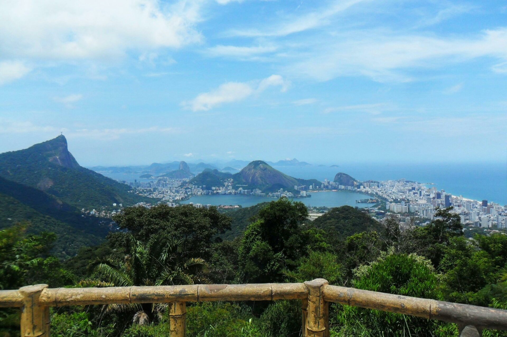 Tijuca Peak: Guided Hiking Tour + Hotel Transfer