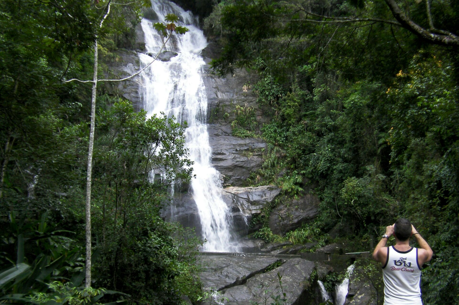 Tijuca Peak: Guided Hiking Tour + Hotel Transfer